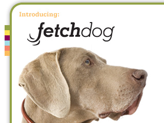 FetchDog