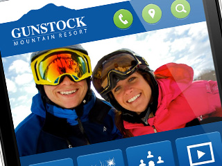 Gunstock