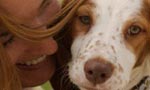 FetchDog dog catalog site
